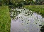 2006-0602-1104-55.jpg